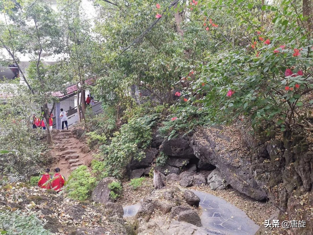 深山里的神秘学校,隐藏在大山深处一所神秘的学校