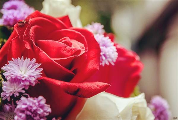 过不好离不了的婚姻到底该怎么破,婚姻不幸福又离不了婚怎么办