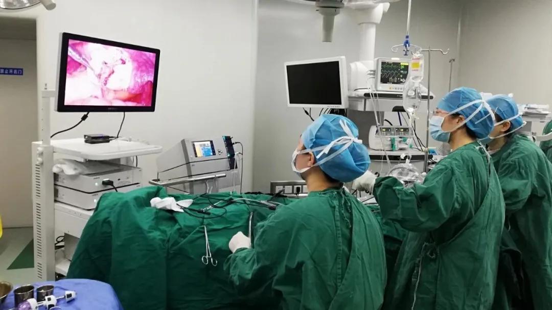 “三八节·女神月”有健康更幸福:免费乳腺B超/盆底筛查/孕妇瑜伽/挂号咨询/当天分娩更有…...