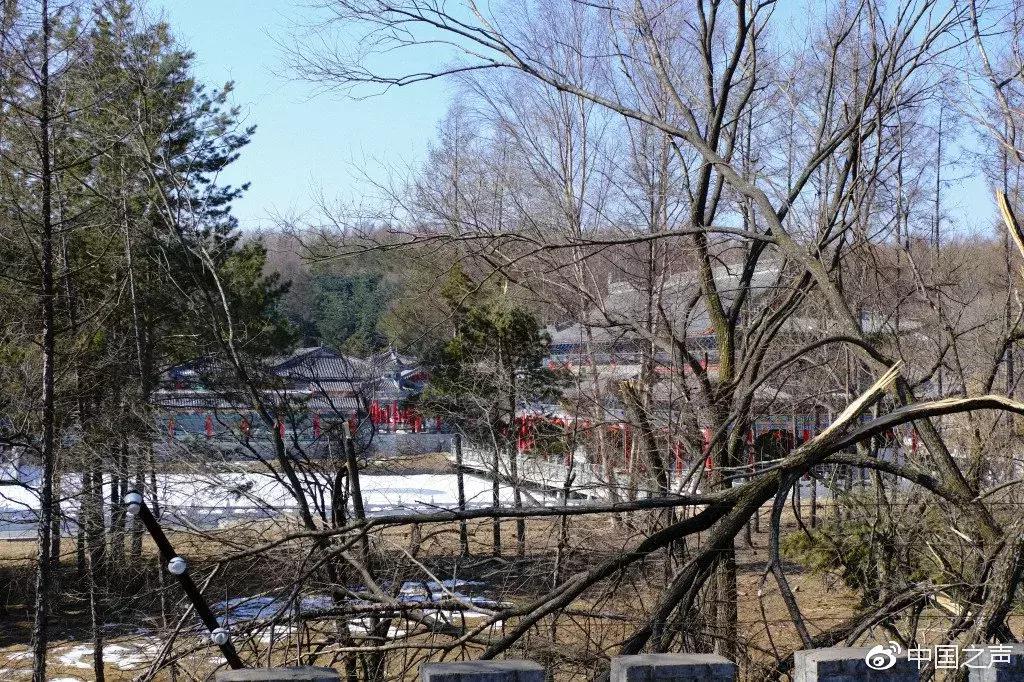 毁山毁林取土挖沙违法吗,毁林削山挖湖曹园