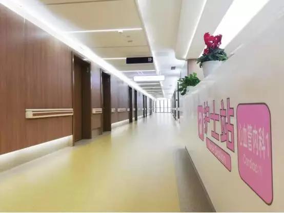 登山照母山,南山照母山