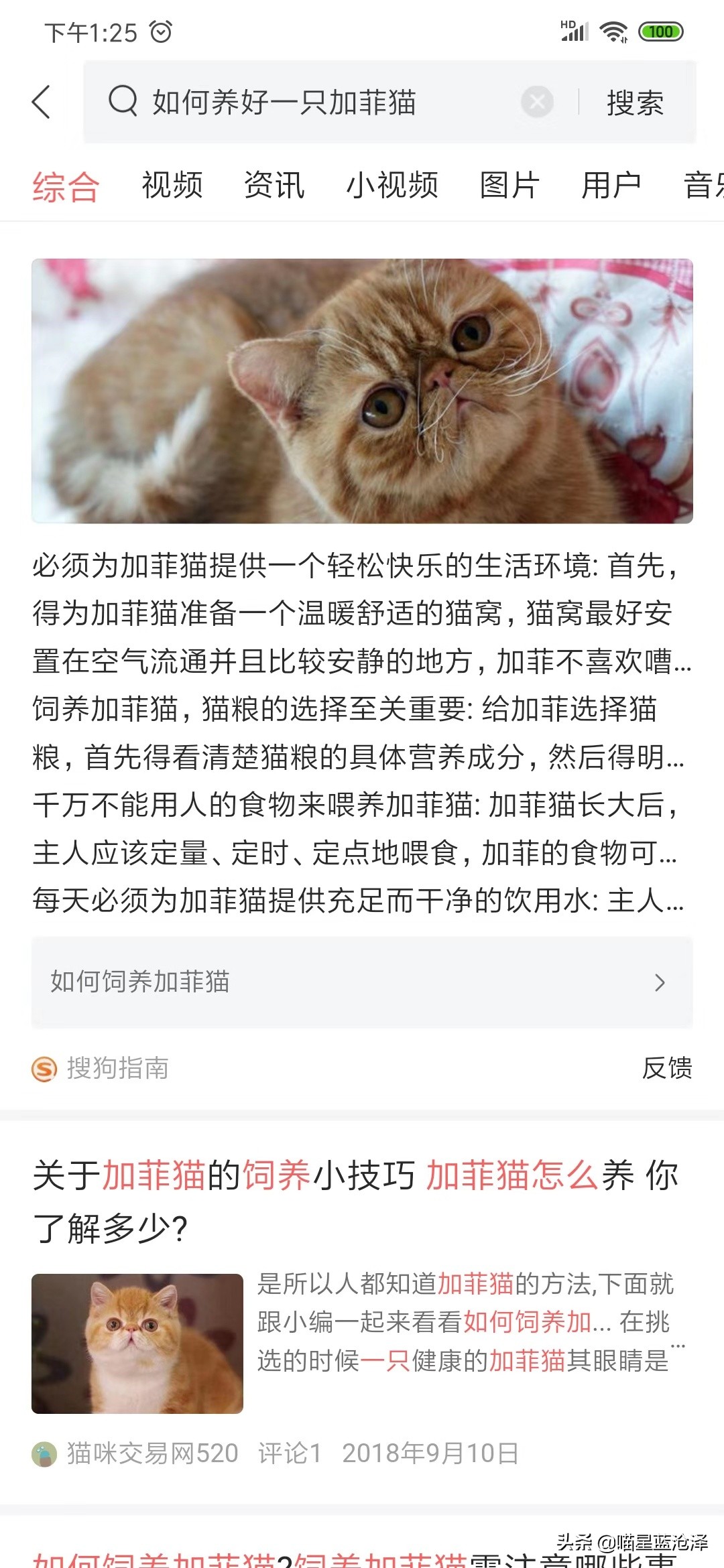 加菲猫聪明调皮视频,可爱顽皮又讨喜的加菲猫