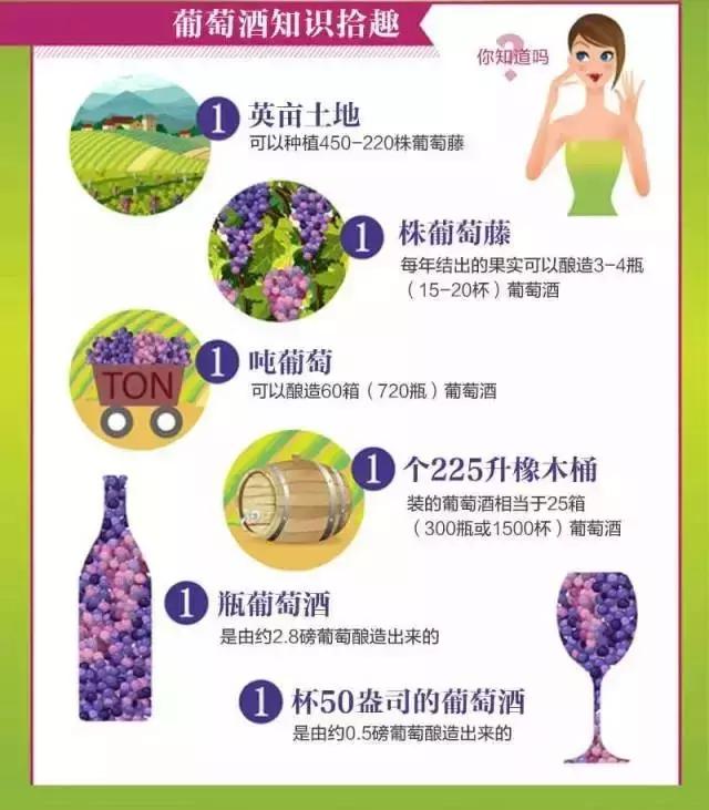 葡萄酒品酒知识,葡萄酒品酒大师