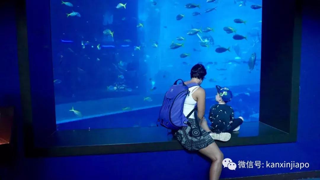 圣淘沙游玩路线攻略,圣淘沙名胜世界免费吗