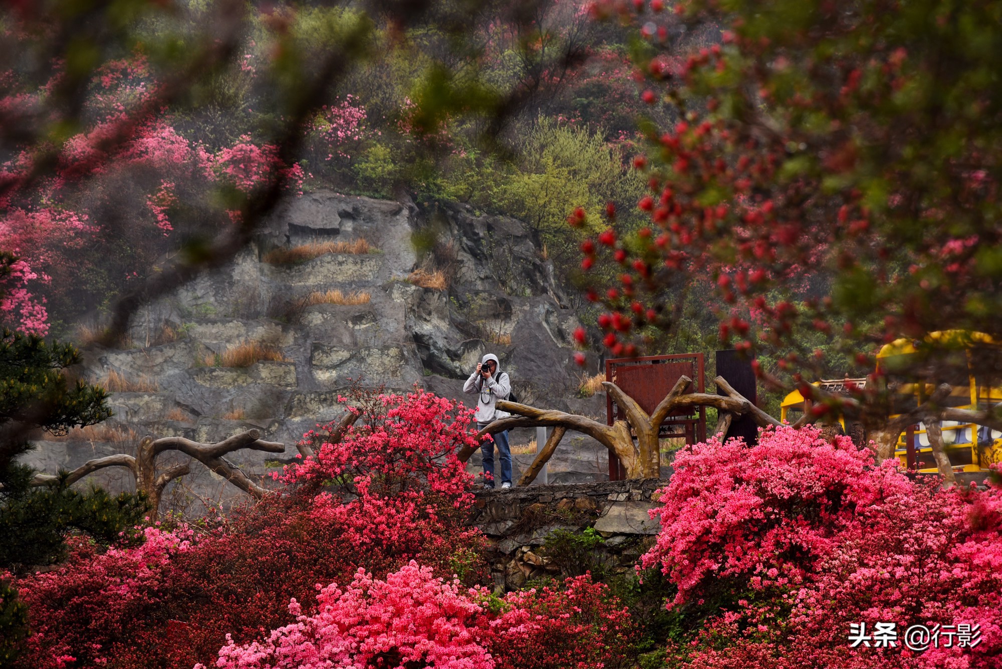 武汉青山网红打卡景点,云雾山武汉