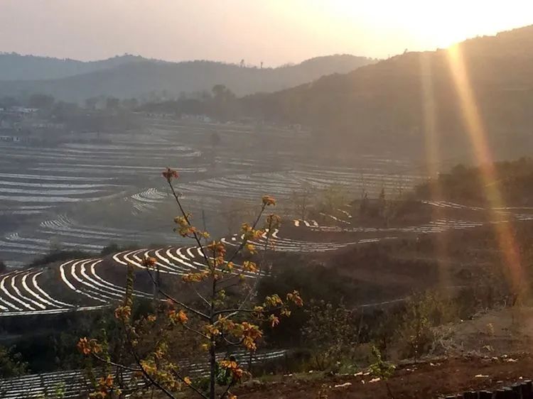 被称为上帝的指纹的图形,上帝的指纹景区