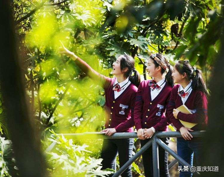 重庆一中名校联合中学,重庆中学十大名校