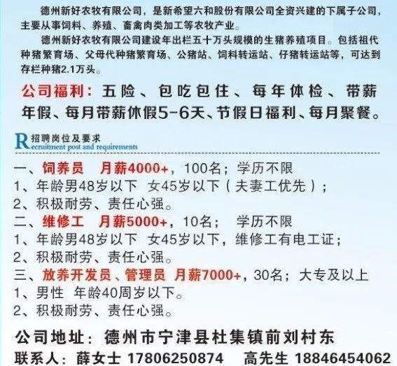 德州最新招聘信息今天,德州最新招聘信息2023
