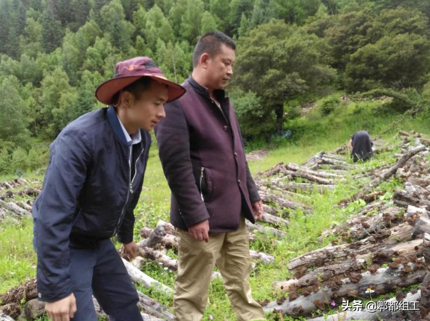 总结援藏帮扶工作经验,援藏干部帮扶情况报告