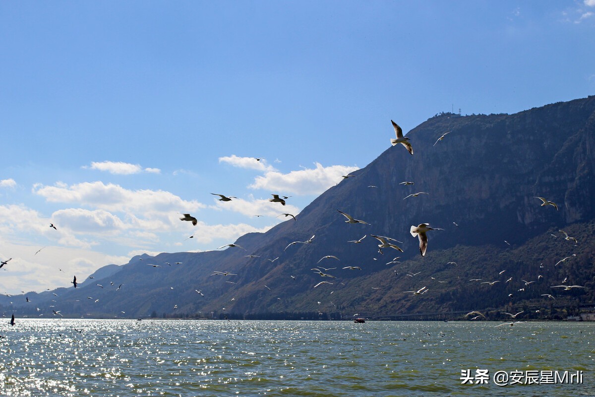 云南省提出九大高原湖泊保护措施,云南省九大高原湖泊