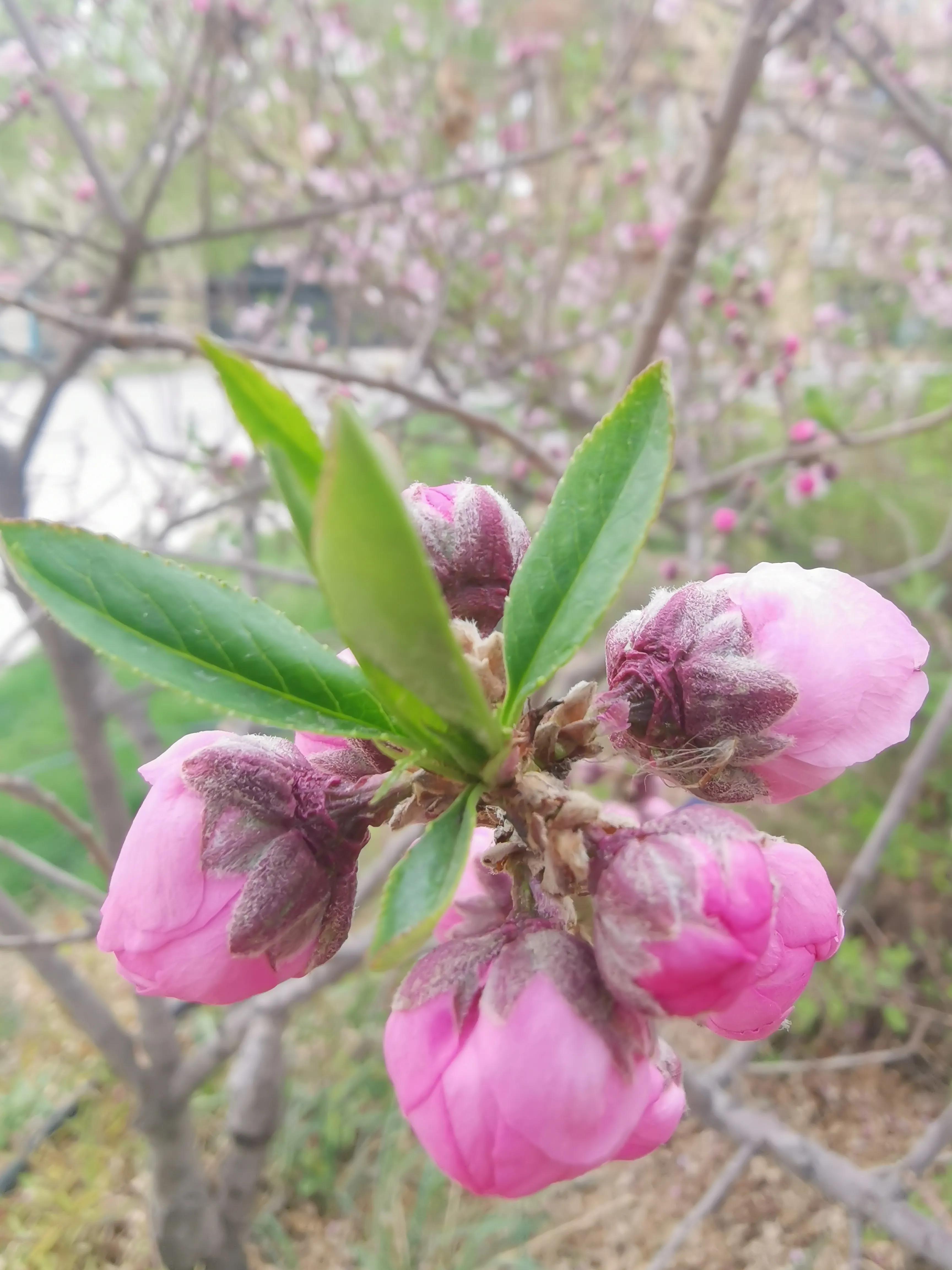 记忆模糊的三年,记忆回到三年前