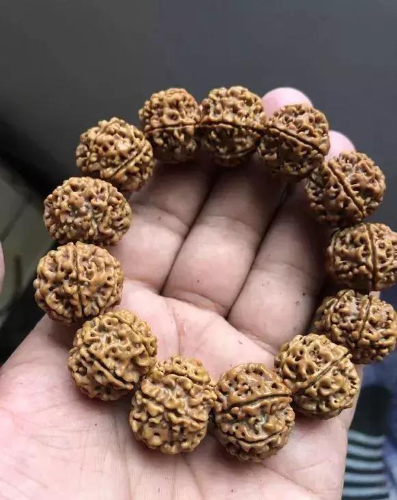 金刚贵贱区别,金刚菩提多久能红