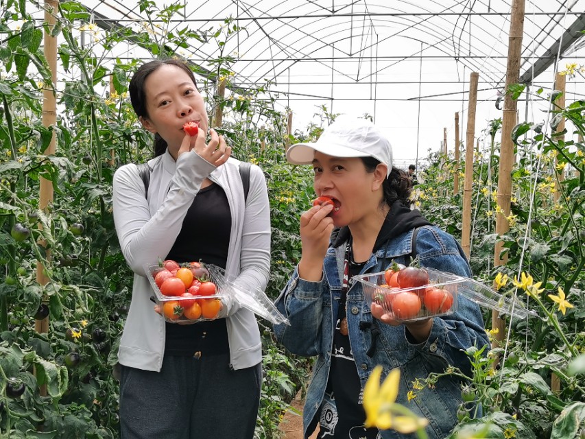 寻甸渔乐谷最新消息,寻甸欢乐世界项目大全