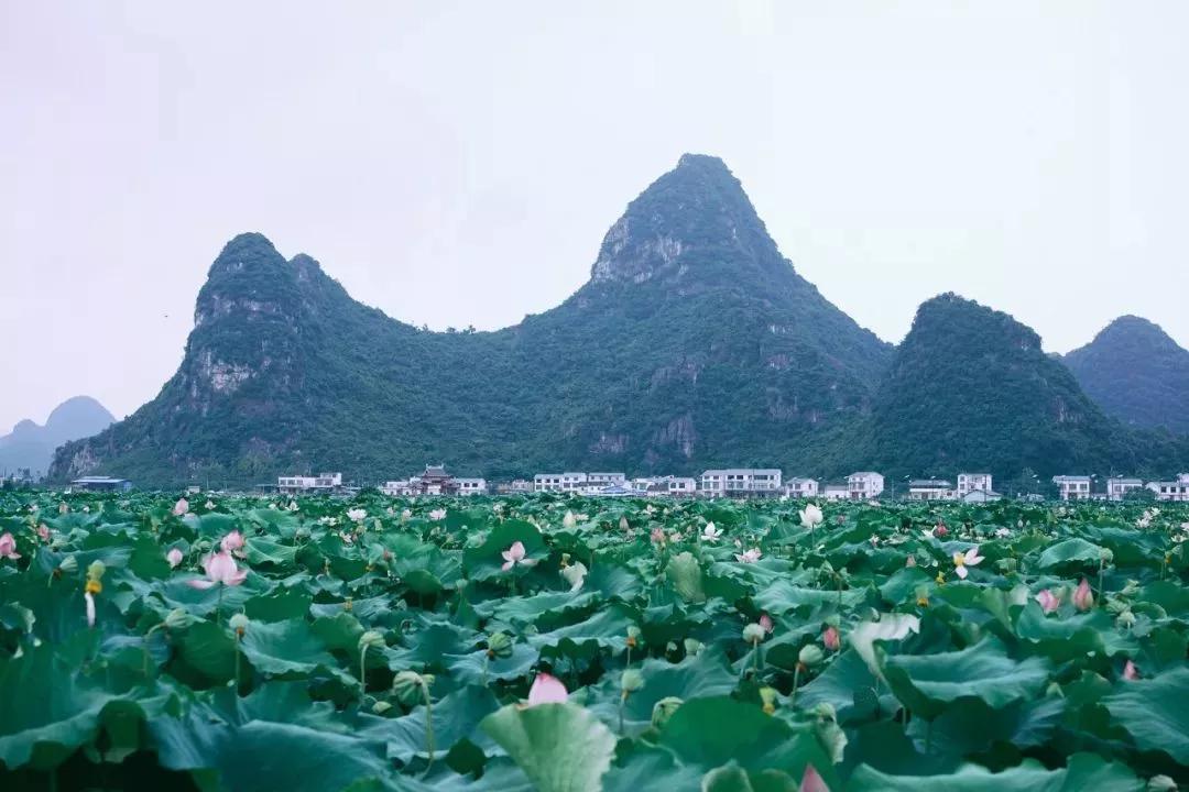 退休后就去国内旅游,退休后必去的100个景点
