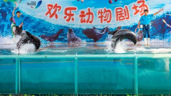 深圳小梅沙海洋世界特价,深圳小梅沙海洋世界团购票多少钱