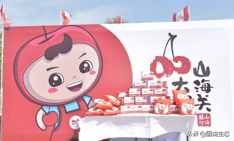 山海关:一沟大樱桃换来半坡别墅