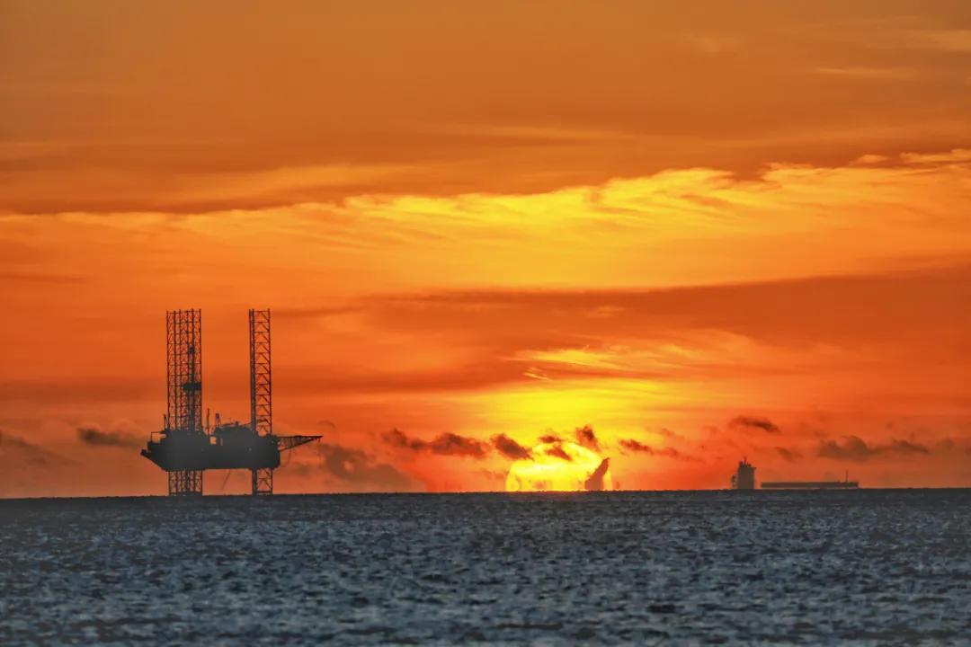 「第1期」2020年大美社群优秀作品回顾