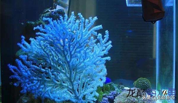 说出来都是泪！只有新下海的人才能体会这种痛，简直是全军覆灭