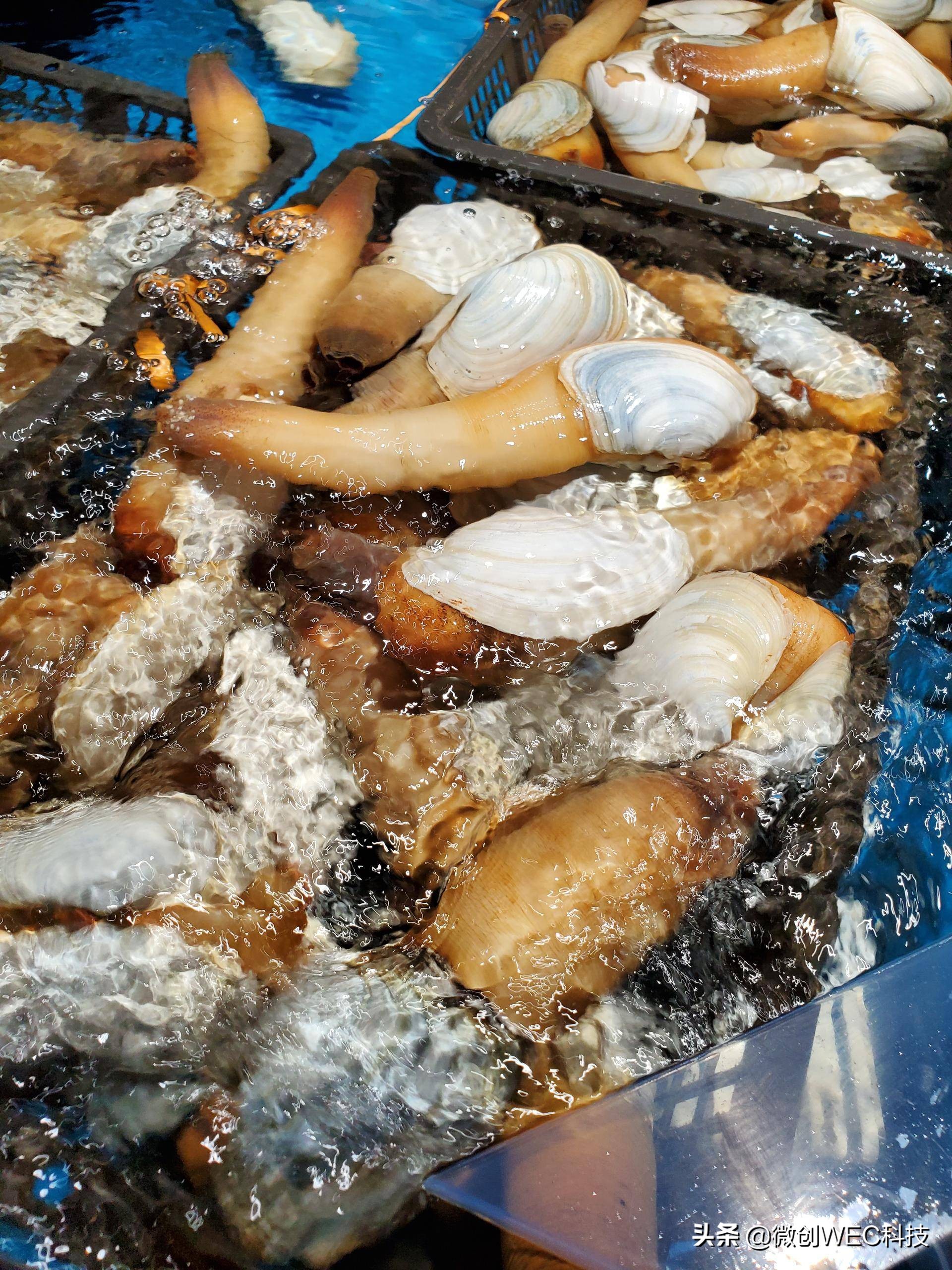 三星s10性能测评究竟是好是坏,三星s10测评值得入手吗