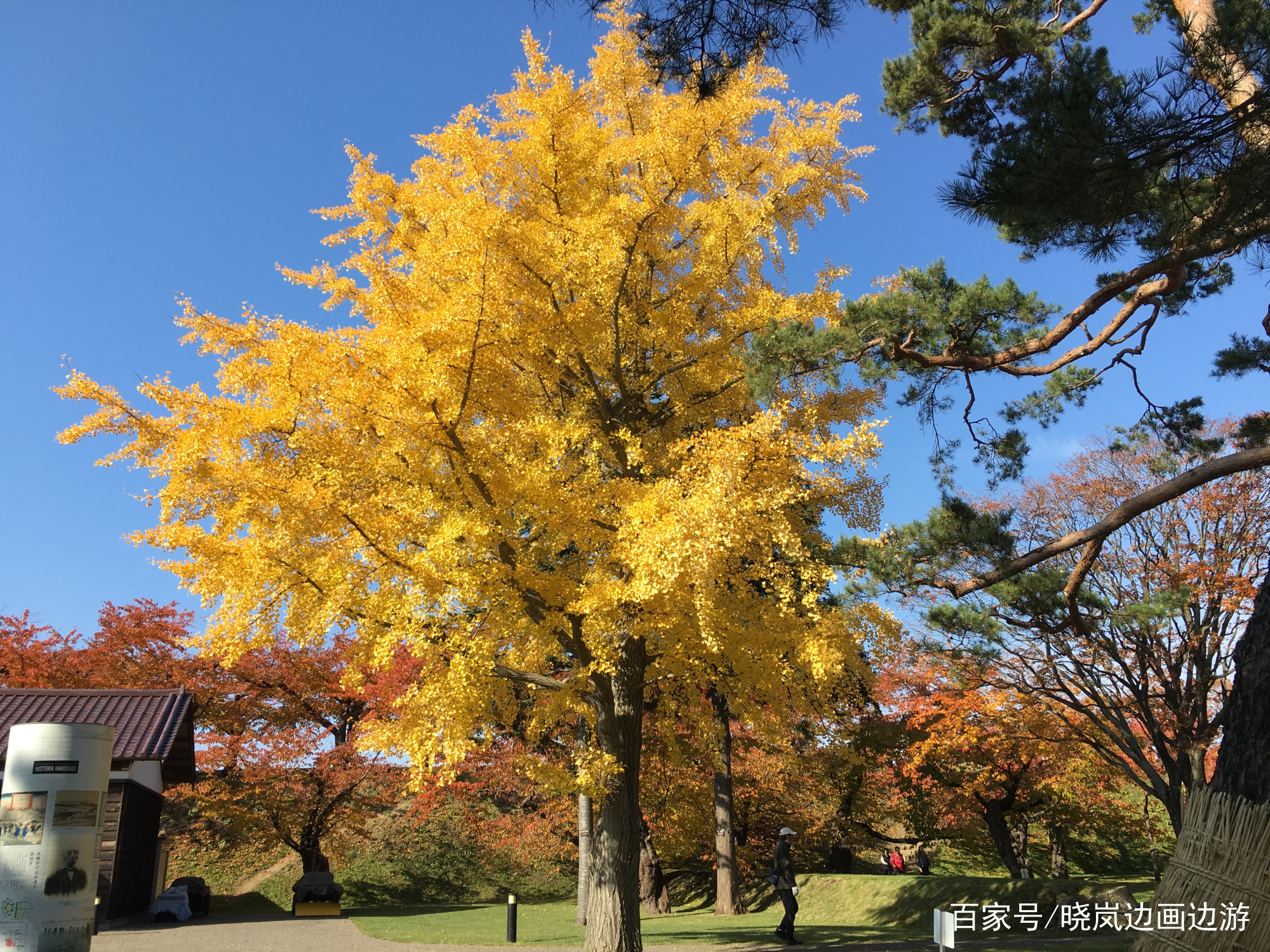 北海道札幌函馆夜景,北海道函馆夜景视频