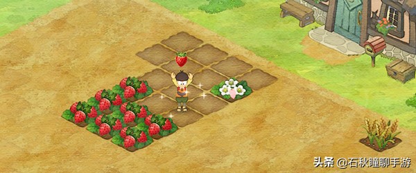 牧场物语哆啦a梦秋季攻略,牧场物语哆啦a梦新手攻略