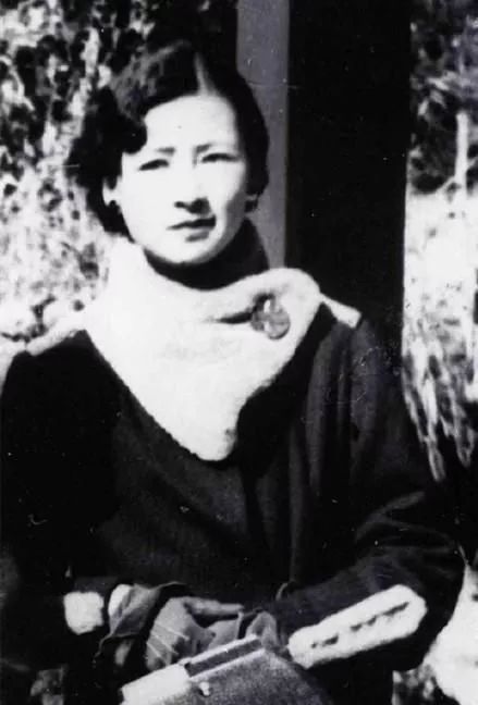 南渡北归是高一必读书吗,南渡北归之类的书