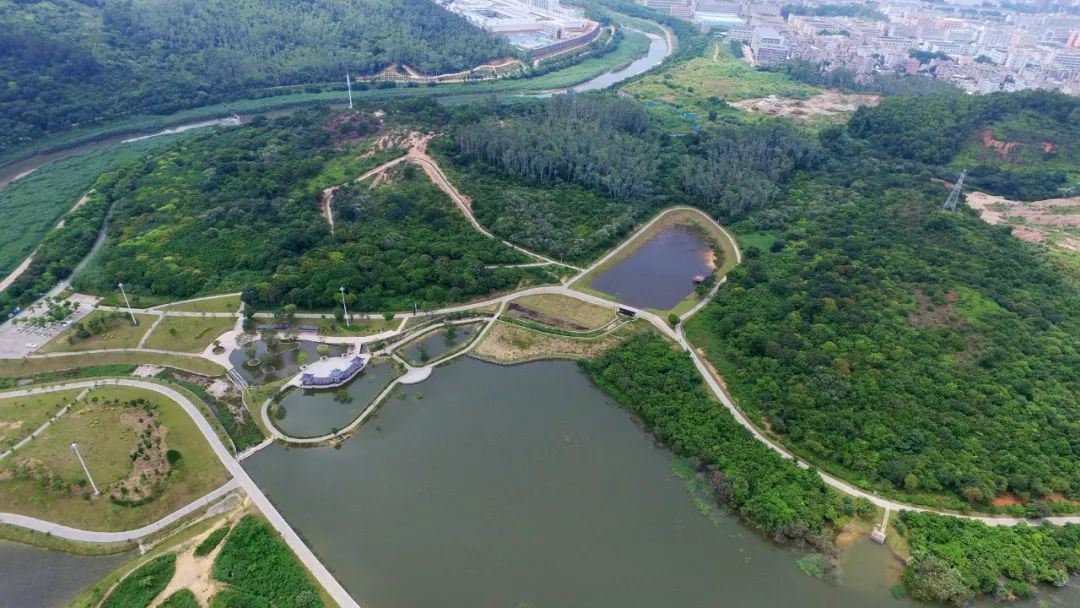 深圳惊现2字头住宅，2.8容积率+外国语学校+地铁，这次还要错过？