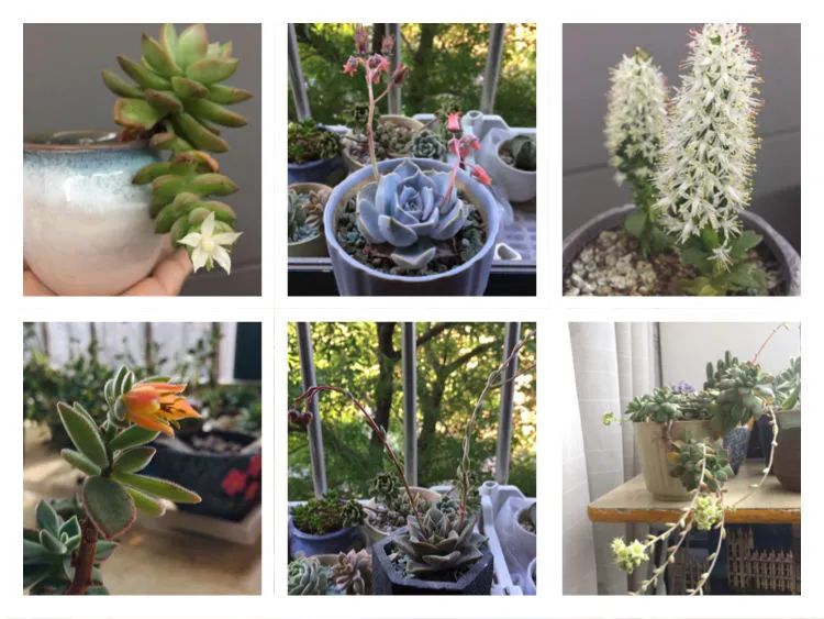 一见倾心二见,一见倾心二见倾城三见定终身