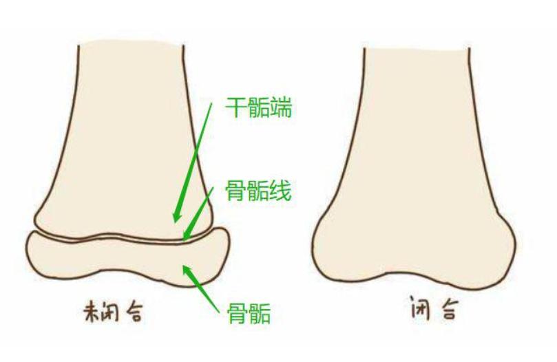 男孩子大概多少岁才会开始长高,男孩身高165还能长高吗