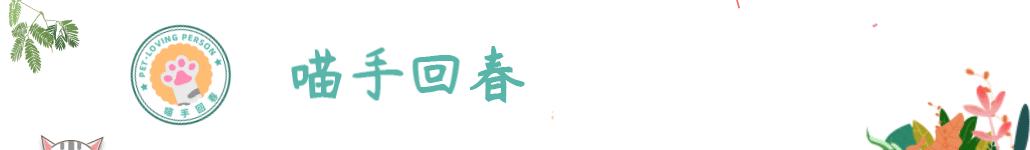 天气热铲屎官用什么猫砂,猫咪夏天给它剃毛能让它凉快些么