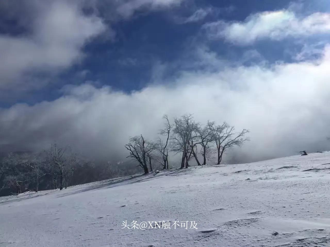 都挺好原生家庭对一个人的影响,都挺好原生家庭对明玉有什么影响
