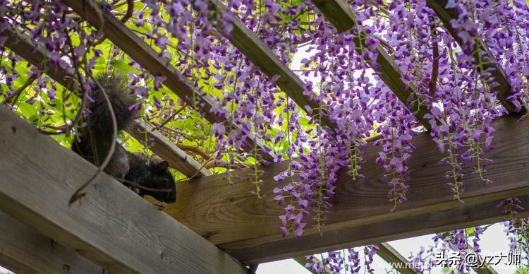 尼康d5500相机怎么拍照,尼康相机d5500录像