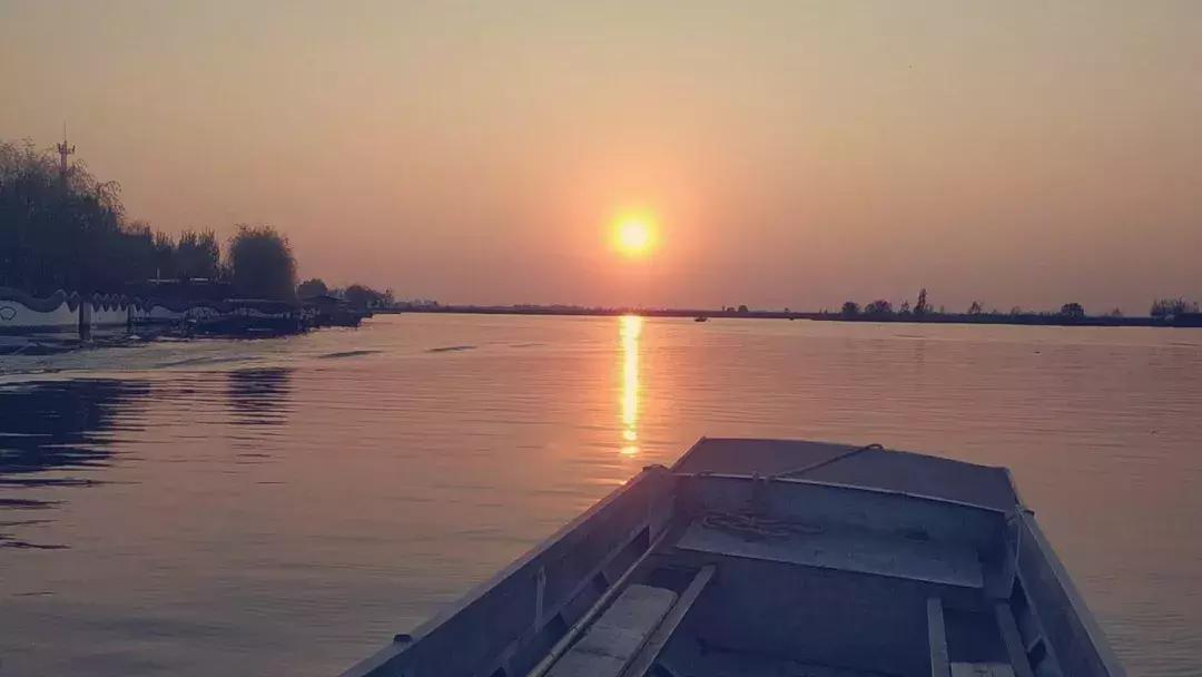 五一假期带着爸爸妈妈宝贝们钓虾,五一假期跟爸爸一起去田间劳动