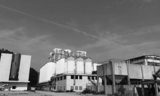 深圳金威啤酒厂现状,金威啤酒厂怎么样了