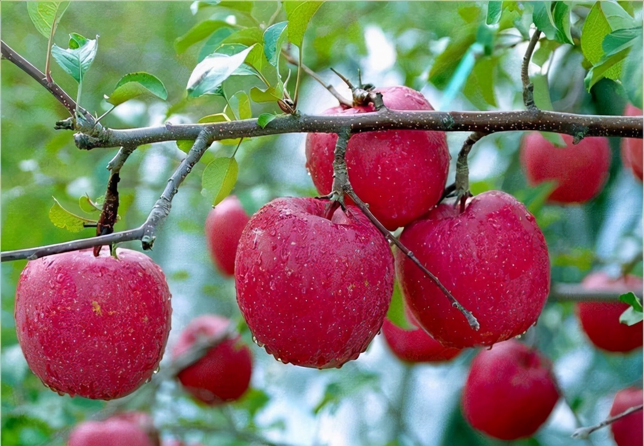 指甲上出现竖纹是身体出现了状况,如果指甲上有竖纹要注意了