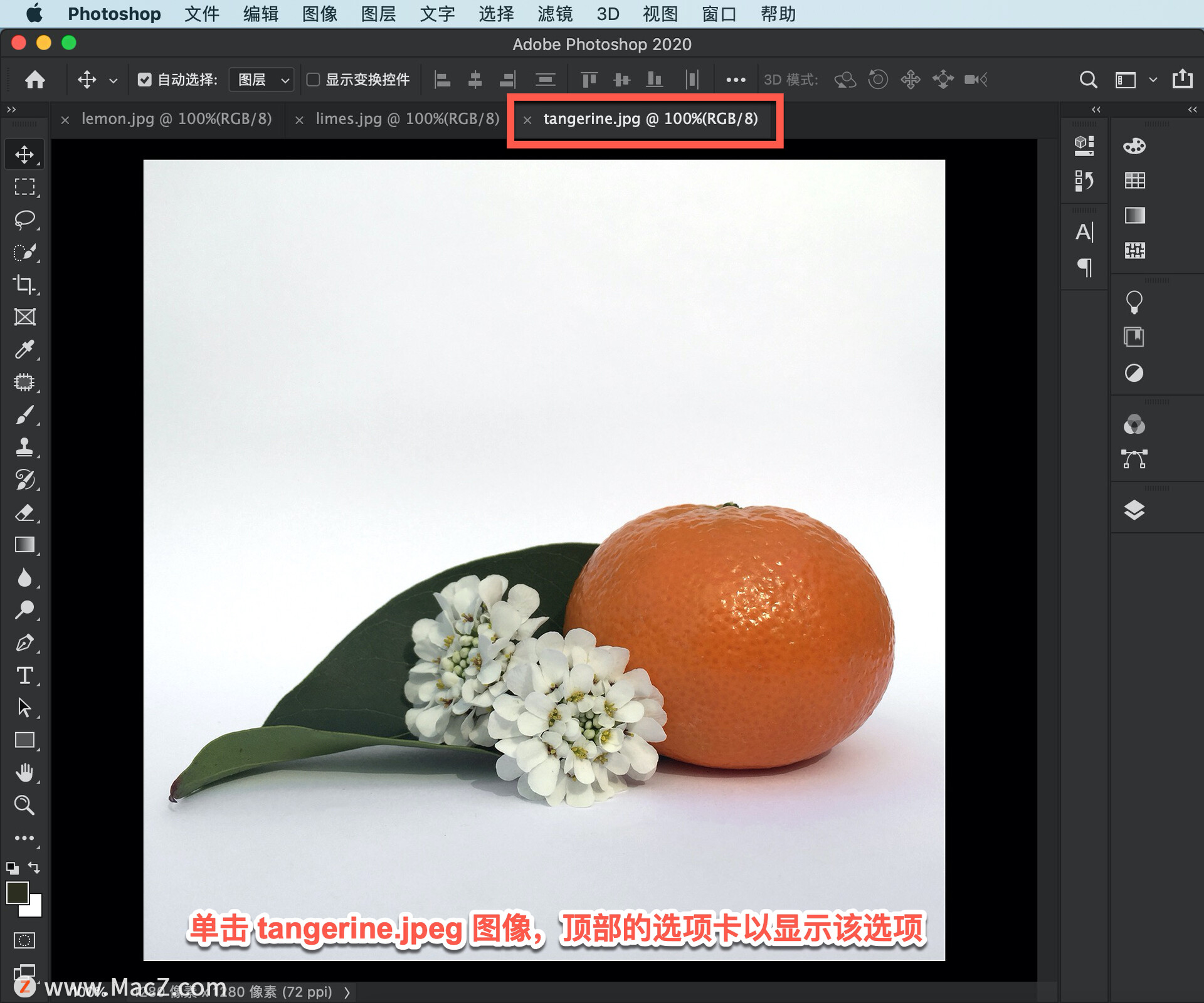 ps新手入门教学补图,ps初学者基础教程如何更改字