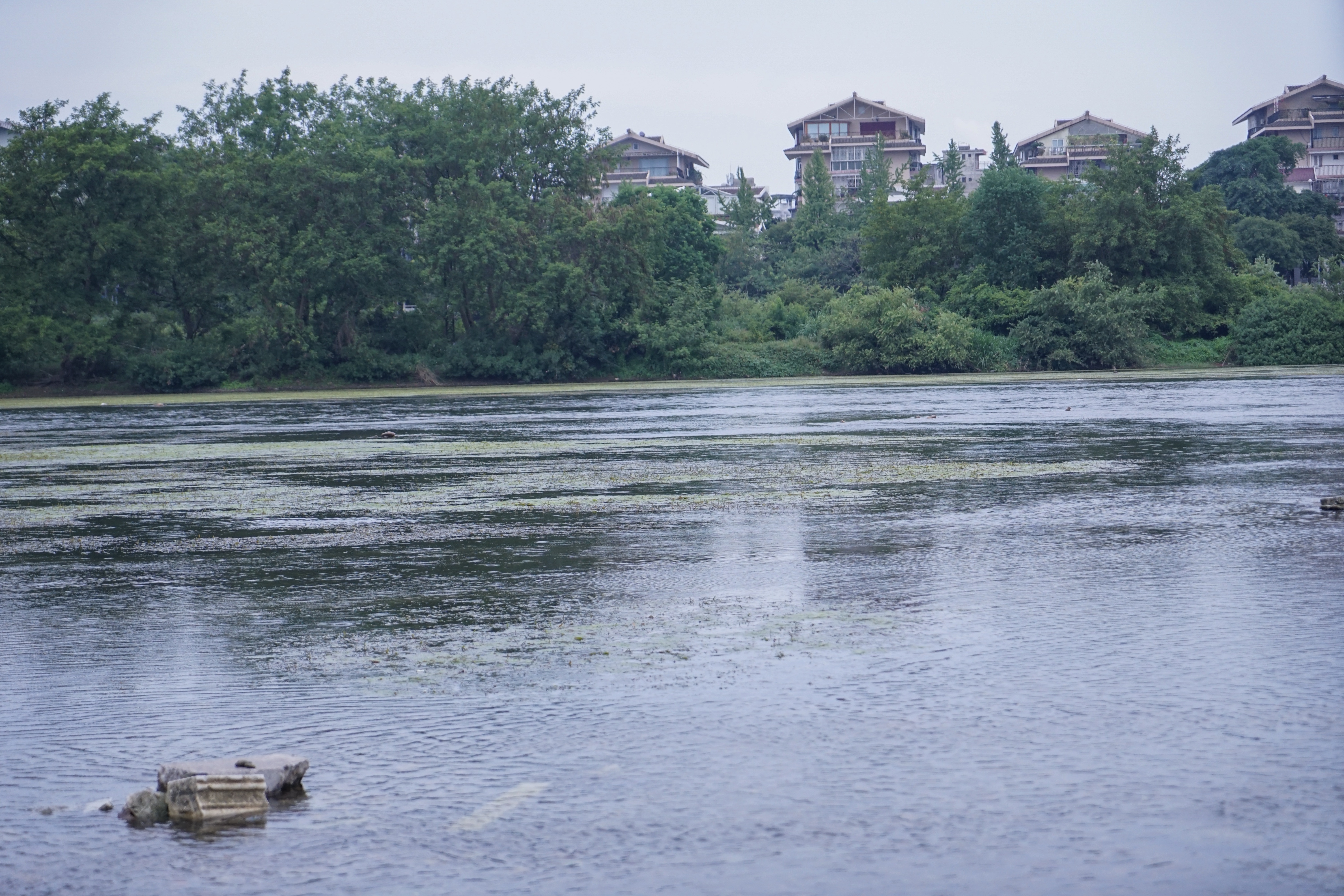 桂林三天两夜旅游龙脊梯田,桂林龙脊梯田避坑最全攻略