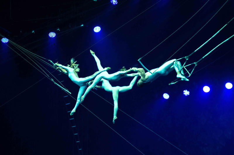 玩转广州长隆野生动物世界之行,广州长隆动物世界游玩攻略图