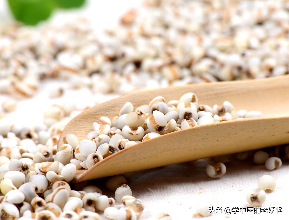 复方薏苡仁配方,薏苡仁为君药