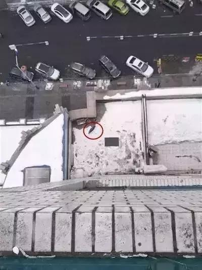 震碎三观的动画片,小朋友正三观的动画片