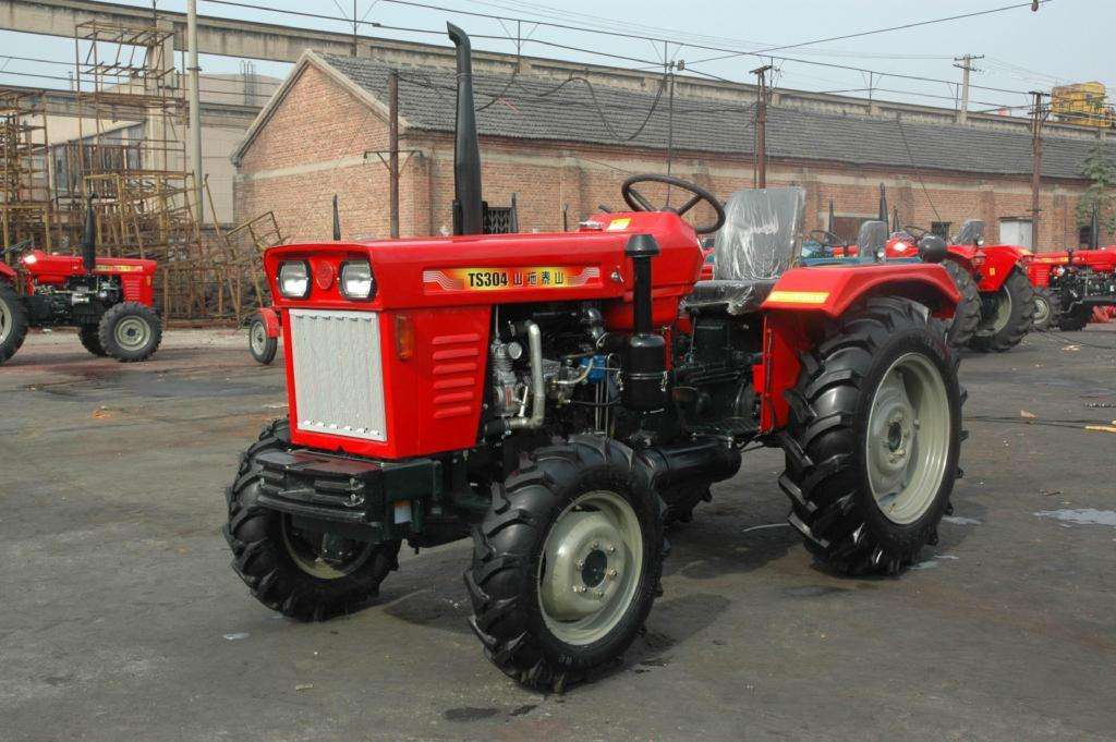 日照,日照绿茶价格表