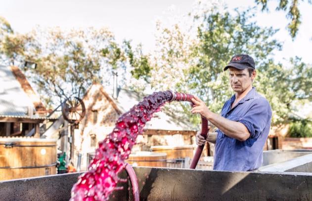 不该撕毁协议的，澳大利亚葡萄清关遭延迟，13亿的买卖眼看要黄