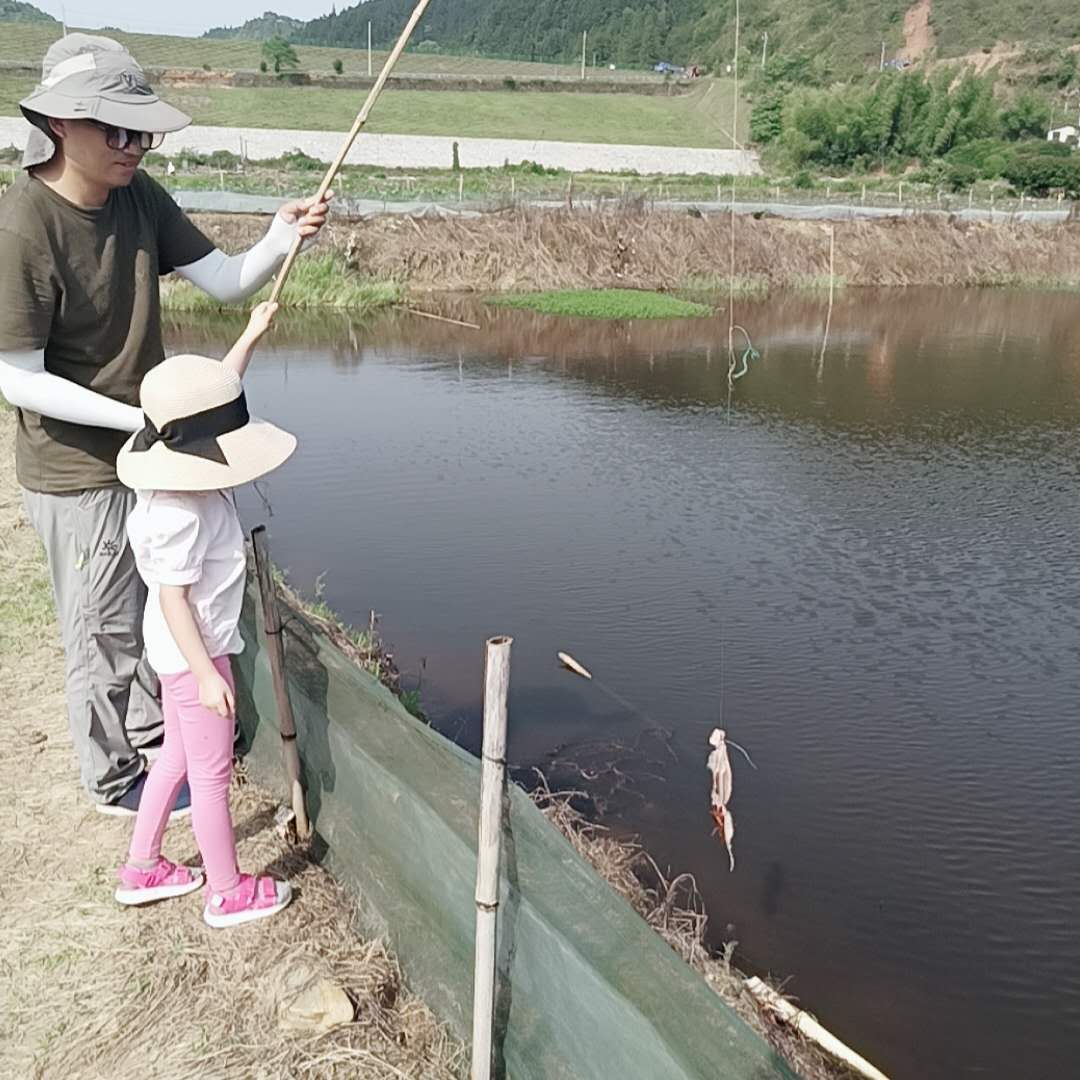 长沙周边农家乐排行榜前十名,长沙最好玩的农家乐