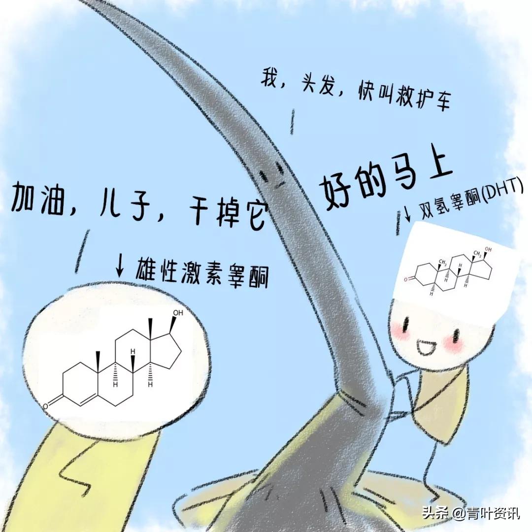 中医辨证遗传性脱发,遗传性脱发怎么治疗