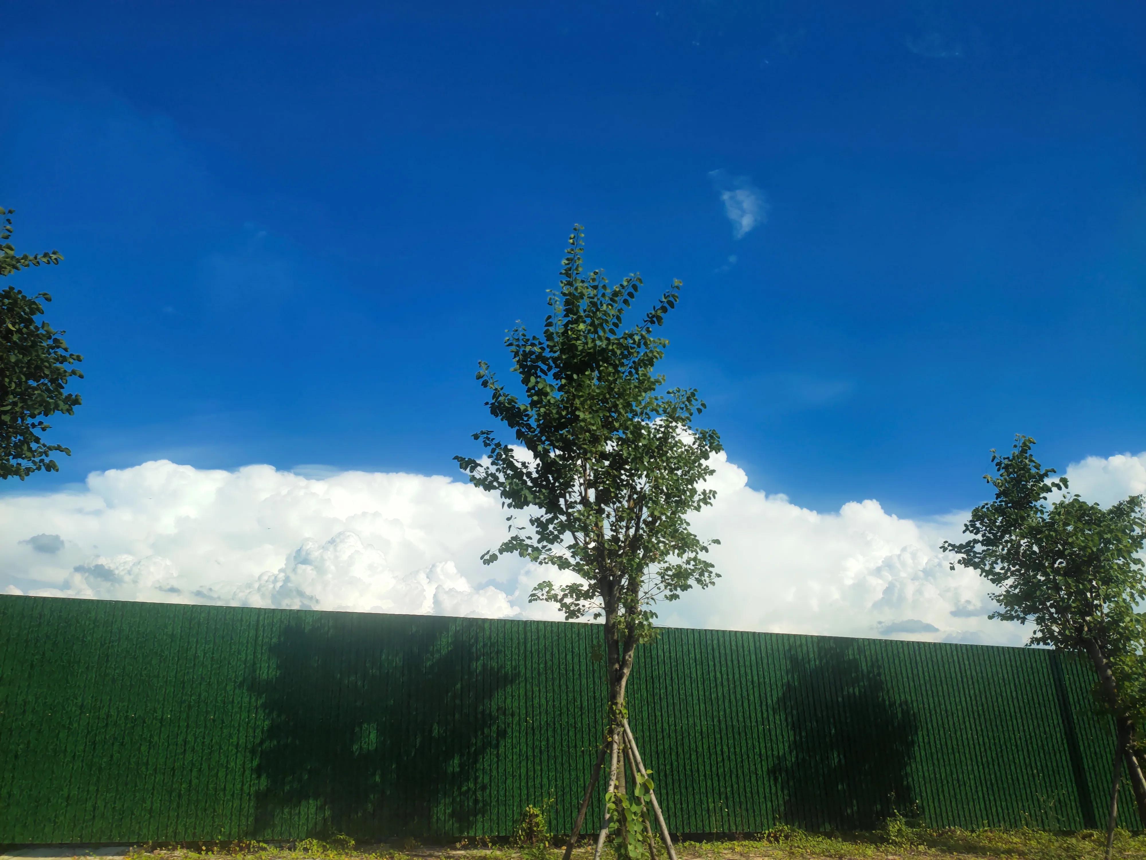 威朗pro白色提车,白色威朗1.5t