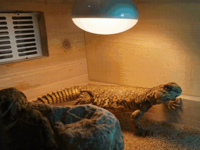 成都夜环线好玩的地方,成都四天三夜小环线