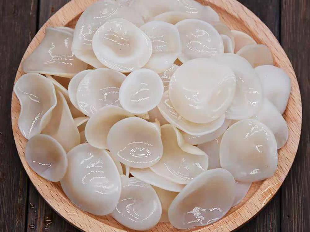 天山雪莲很像植物,罕见的植物天山雪莲