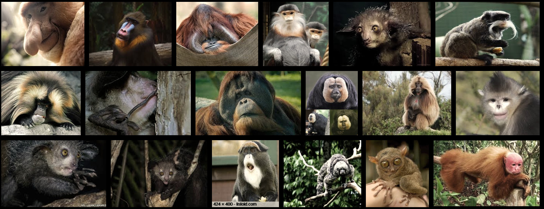 第一个女人是怎么来的,第一个女人是从哪里来的