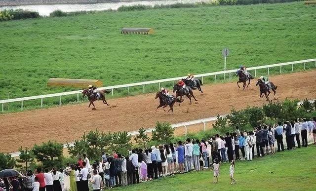 各个皆风景!红凤巢玉如意……吸睛的二青会场馆!距开幕式还有29天……