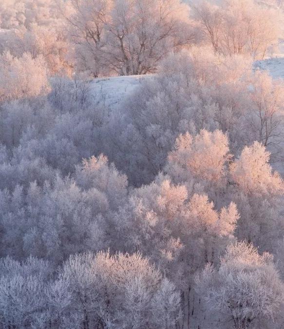 此生必去看一次雾凇太美了,此生必去看一次雾凇简直要美哭了
